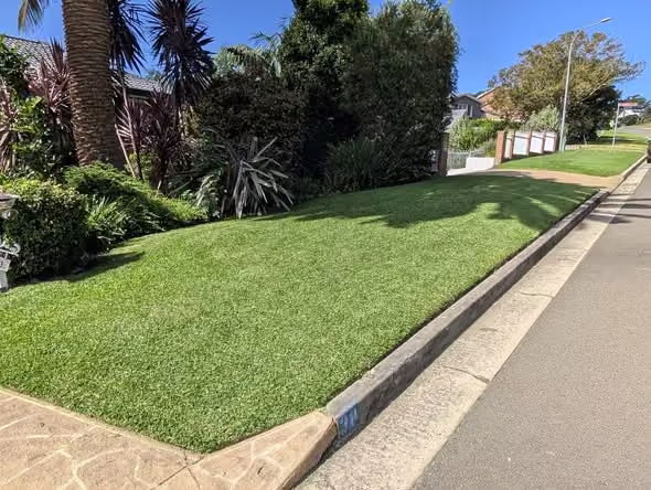 Freshly maintained Hungry Goat lawn in Kiama Downs